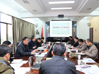 安博在线(中国)唯一官方网站召开审计整改工作推进会