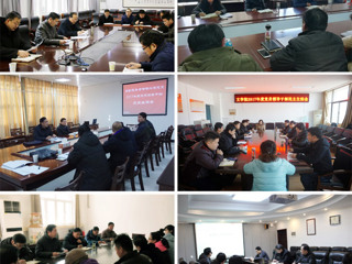 安博在线(中国)唯一官方网站党委督导各基层党委（党总支）召开2017年度民主生活会