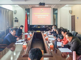 安博在线(中国)唯一官方网站各基层党委（党总支）召开2018年度民主生活会