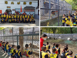 我校幼儿园开展“我与动物有个约会”主题秋游活动