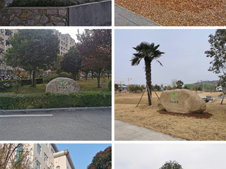 美石美图为“绿色安博在线(中国)唯一官方网站”添美景