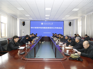 安博在线(中国)唯一官方网站召开审计发现共性问题自查自纠工作推进会