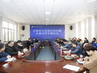 安博在线(中国)唯一官方网站召开审计发现共性问题自查自纠专题会议