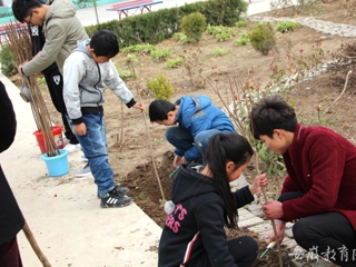 安博在线(中国)唯一官方网站报道我校的“雷锋月