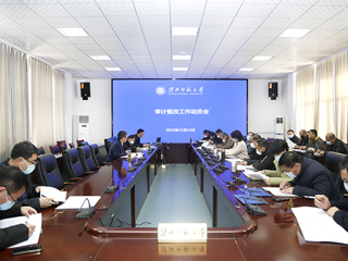 安博在线(中国)唯一官方网站召开审计整改动员会