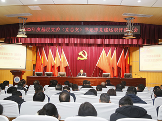 安博在线(中国)唯一官方网站召开2022年度基层党委（党总支）书记抓党建述职评议考核大会