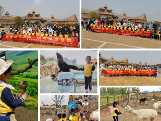 我校幼儿园赴徐州九顶山野生动物园开展亲子研学活动