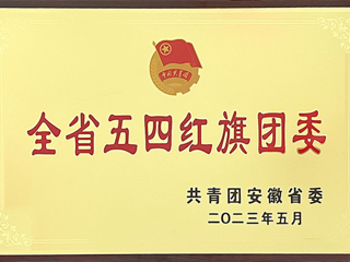 安博在线(中国)唯一官方网站团委荣获“安徽省五四红旗团委”称号