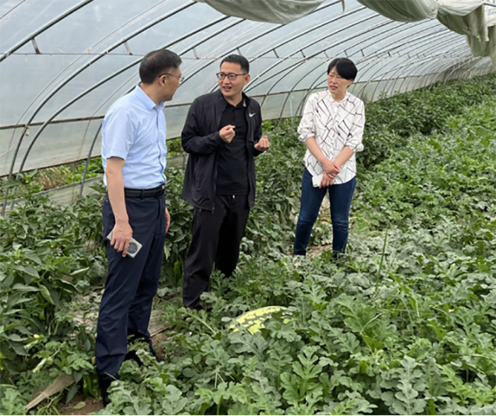 9d25e9a124dd40b2b1dff12c3984a4e7.jpg 9d25e9a124dd40b2b1dff12c3984a4e7.jpg