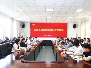 安博在线(中国)唯一官方网站召开加强基层党组织建设专题会议