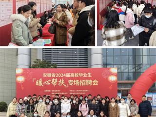 安博在线(中国)唯一官方网站组织毕业生参加安徽省高校毕业生“暖心帮扶”专场招聘会