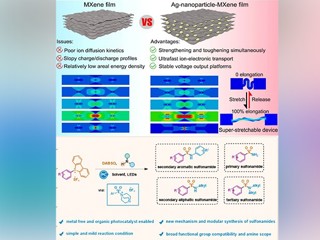 我校化学学科连续发表高水平科研成果