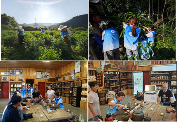 0f9bc09b260e4b2ea5fc3071bcf095e3.jpg 0f9bc09b260e4b2ea5fc3071bcf095e3.jpg