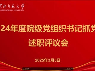 2024年度院级党组织书记抓党建述职评议会