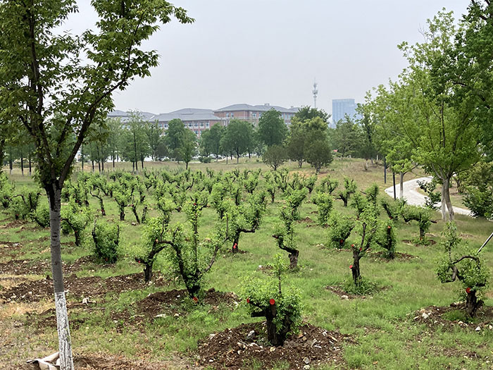 a6751245ede5404d8ea0284f1f35b69e.jpg a6751245ede5404d8ea0284f1f35b69e.jpg